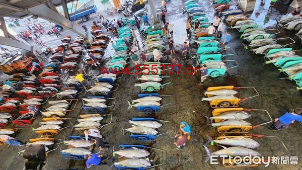 ▲東港區漁會魚會捕獲拍賣的黑鮪魚 九一八事件。（圖／取自總幹事鄭鈺宸臉書）           